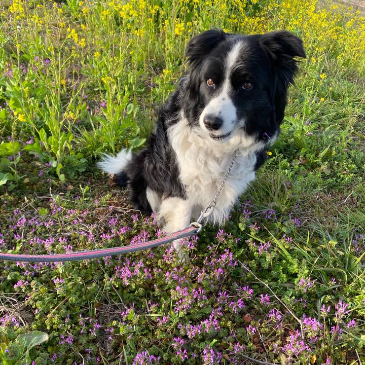 384cf3aa 51ac 4208 820d 246b203d1c09 1646956688687