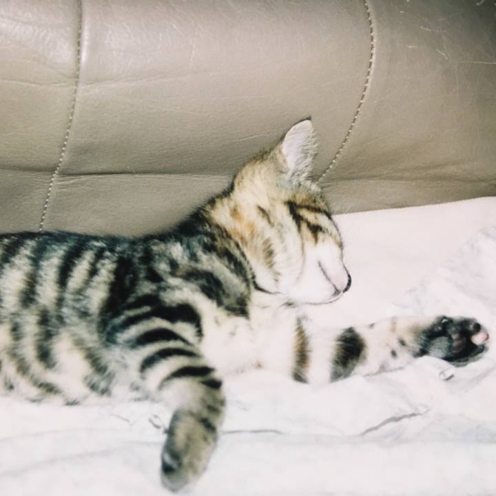 384d340d 2f3a 43aa a317 0ca9cca4ebe1 1524387747699