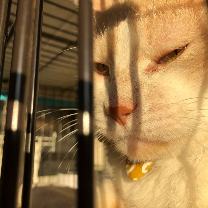 384d4880 f89e 4cd6 9dbc 879e453683fe 1573082944294