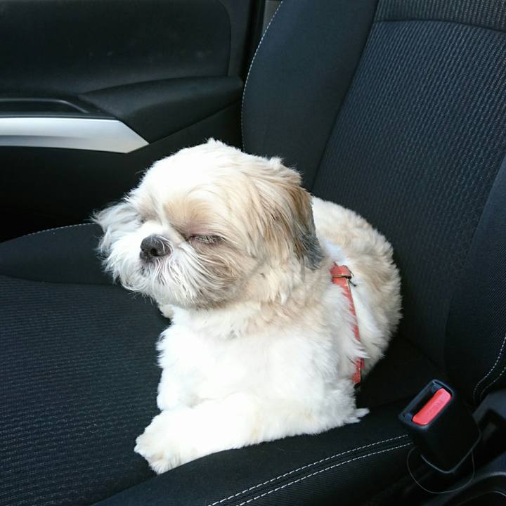 384de6d6 8b42 48c2 ac7d a619ed338ec7 1536380660963