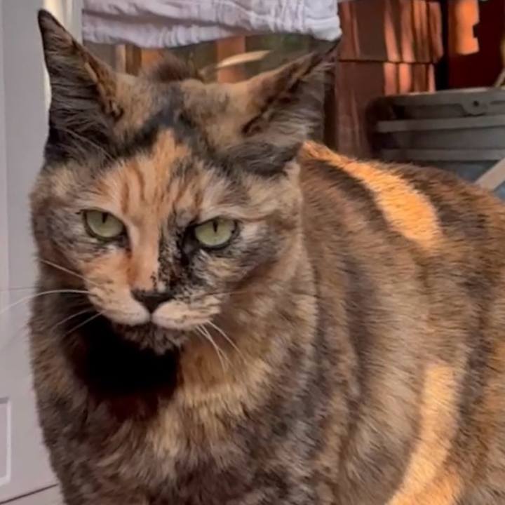 384e835d ff43 42aa 87ac a9189697ebd4 1773916722966