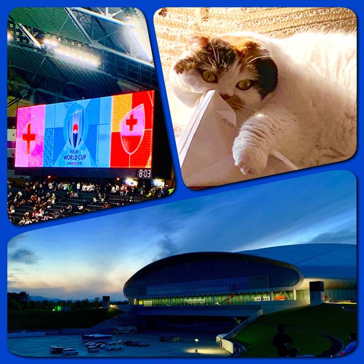 384e9a2b 4a94 45ed 9d2d bc2851b877fc 1569202055491