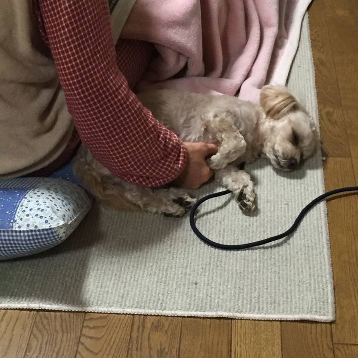 384ed1a1 2f2d 4d42 a779 4fe34ba0fd44 1574865651708