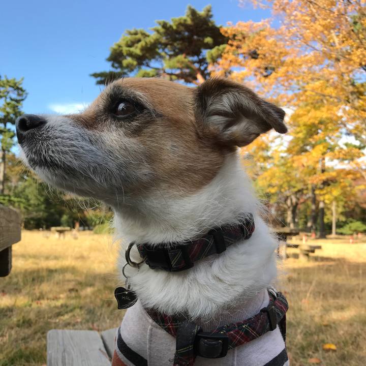 384eece3 2e5d 4802 91e9 edf7bdfd0002 1574058002249