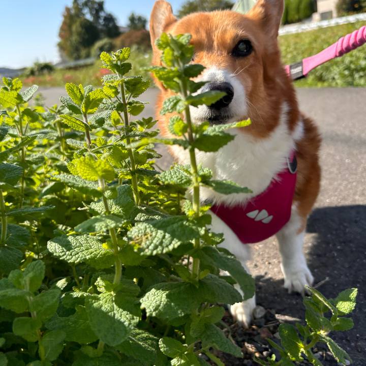 384efacf 79dc 4c25 8d3a 27c9b4b7b699 1728885548962