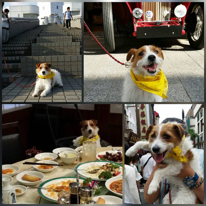 384f2092 bdad 4d70 a0d9 ee93d4b01e62 1526854984815