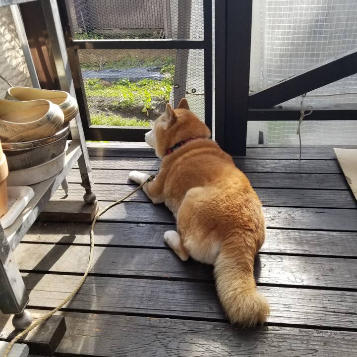 384f2e76 fe54 440b b0ab 0906ac927029 1712445853737