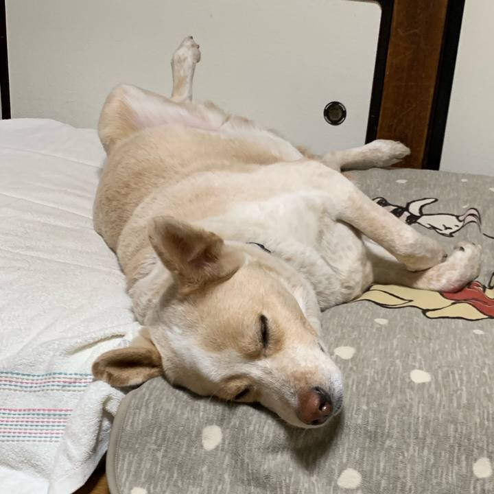 384f817f e646 4d93 8cac 0eacb2894576 1546257776490