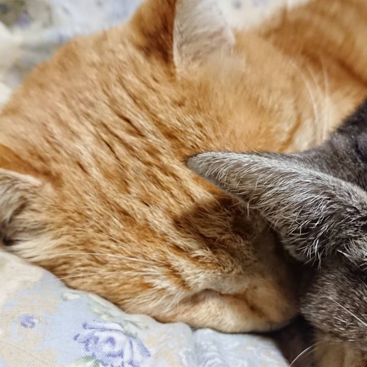 384f9113 700b 4c90 9da3 6f3ff7203689 1582977584574