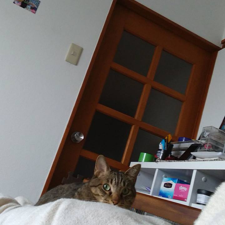 384fb92a 9d4f 4b8e 8e89 20b983ebd420 1628996893172