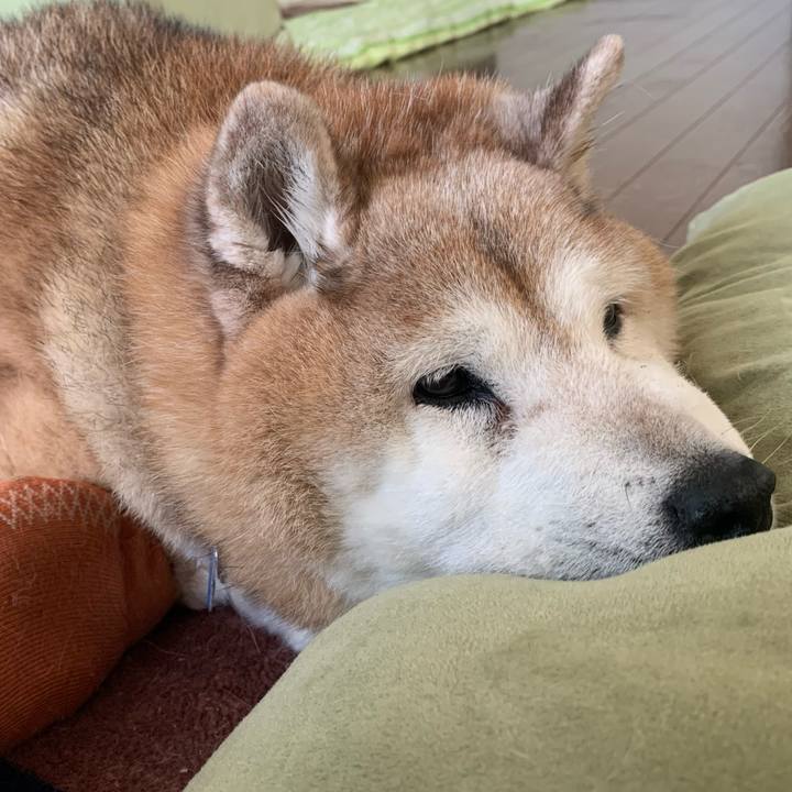 384ffb43 a1e5 4a04 a133 fedd31e407a7 1651637790543