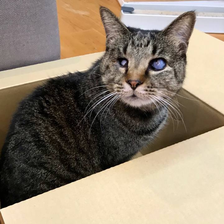 38500cb5 481f 43a7 b720 01346014b7cf 1612833332315