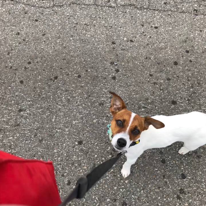 38500e9c d96a 4e69 b1a8 eb9c0a5d4a60 1529754337833