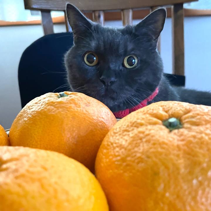 38503895 f17f 431d 8588 d3a3751aadae 1764197673549