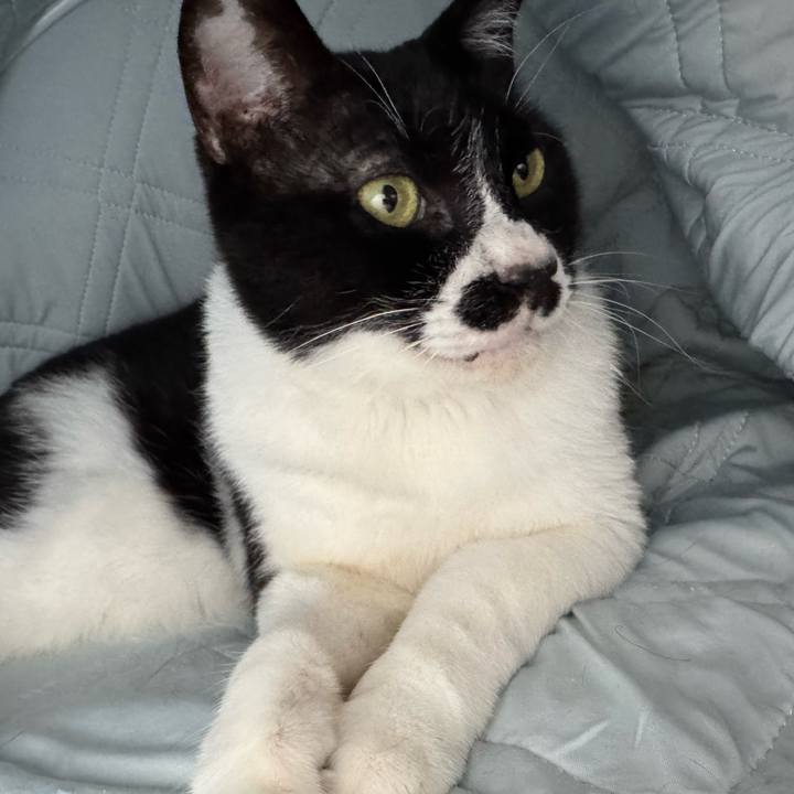 38504c99 1ffe 483d 80bd f46bf9977745 1751075015419