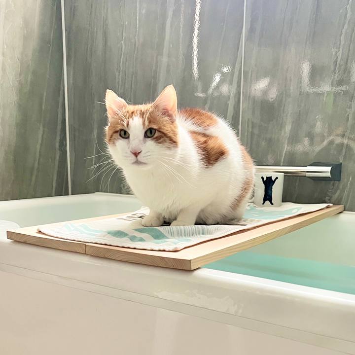 38505be9 b5ba 4a7f ab8f 58617b11497a 1771205996300