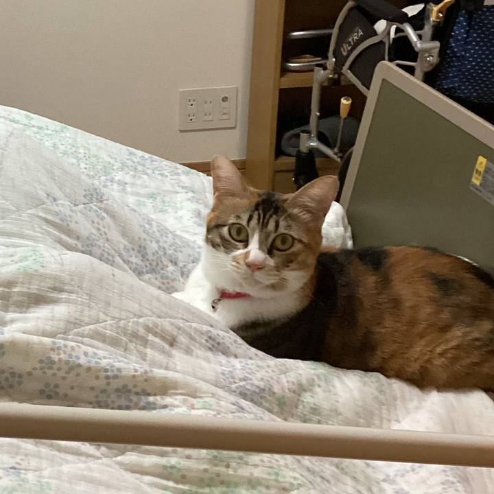 38509978 16b3 4a74 a18e 52bf585ac749 1695528162629