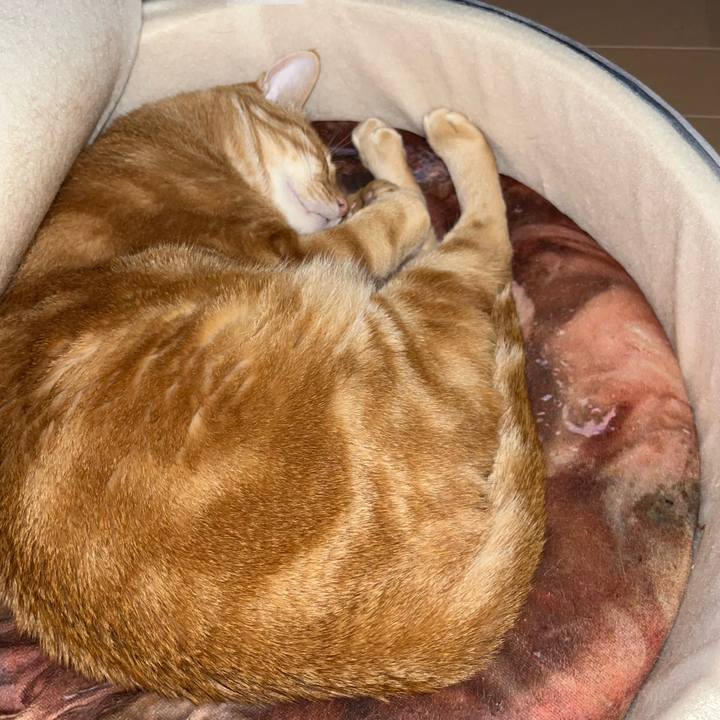 3850dc8e ab51 47b7 8961 ef69a1dbeabe 1649976480764