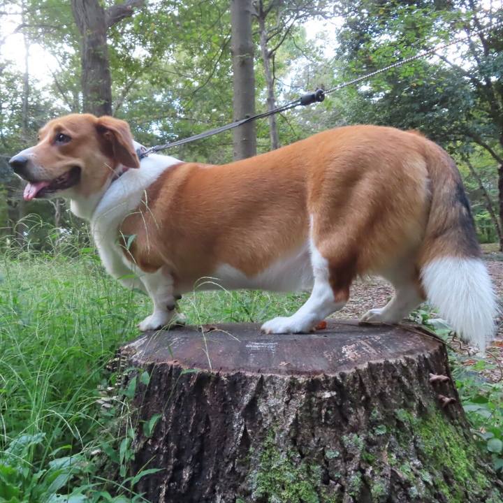 3850e89a fb3c 40bb 95c1 4e823fe267f9 1634396619184