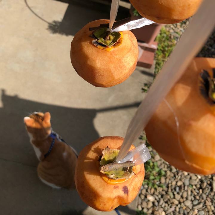 3850f45c 96b8 4e82 828a c24efa517ae6 1540801301896