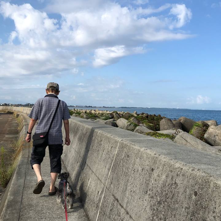 385185e1 065e 4adf b844 ea974f31fc01 1633142211627