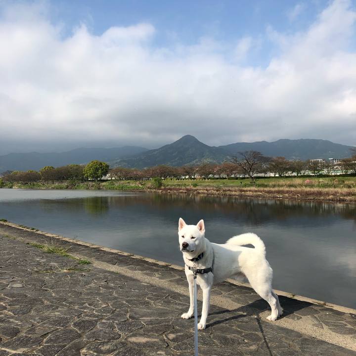 3851bb93 7ee2 4bc7 ba8b 3cb802a4884b 1586992968910