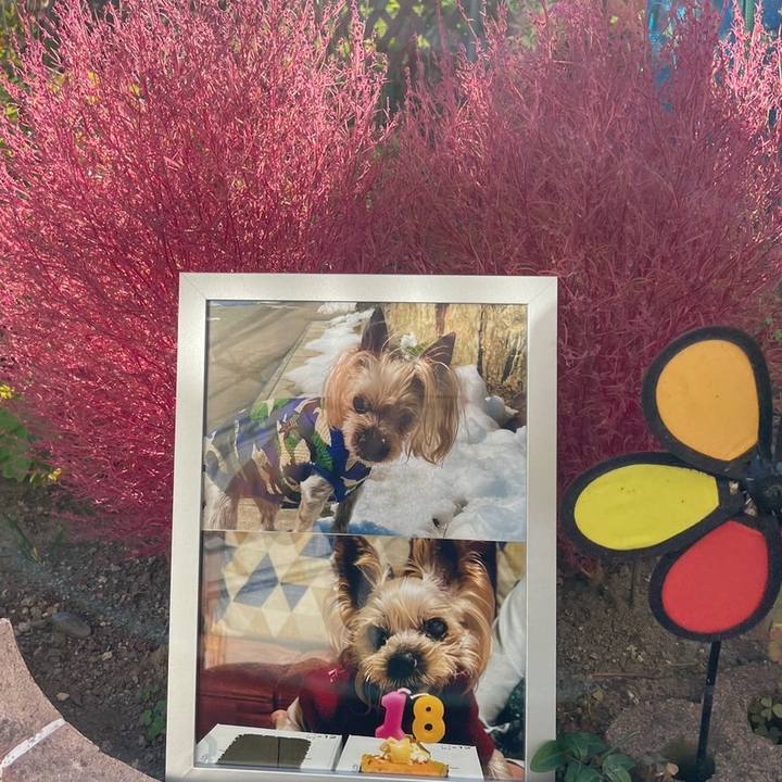 3851ed1d 1d7e 4716 b7ea dacf72412e6e 1728897424106