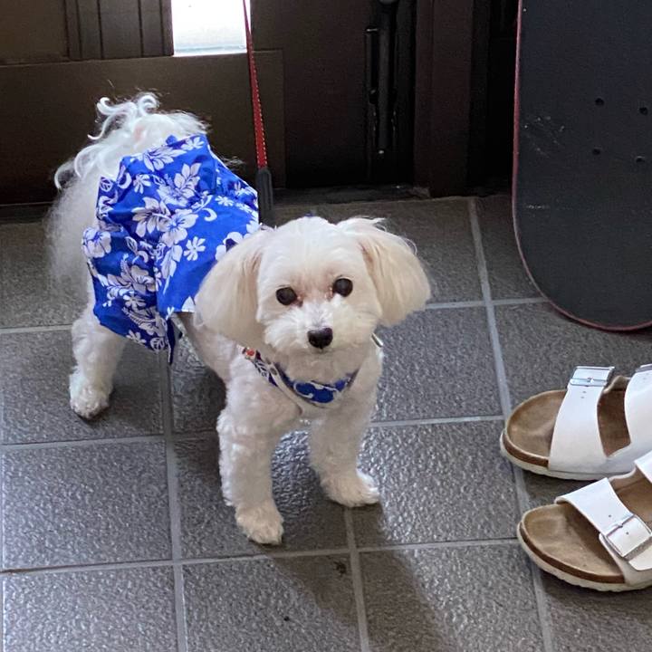 38521241 ee3e 4097 8566 a68756a1f28f 1661686866615