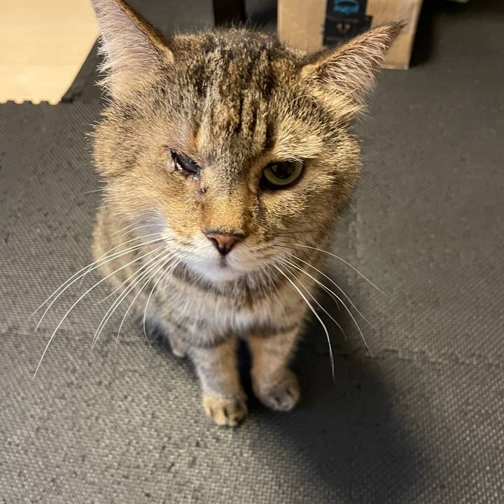 385219f6 bf50 4c17 a5ce e2600e306d75 1719787981818