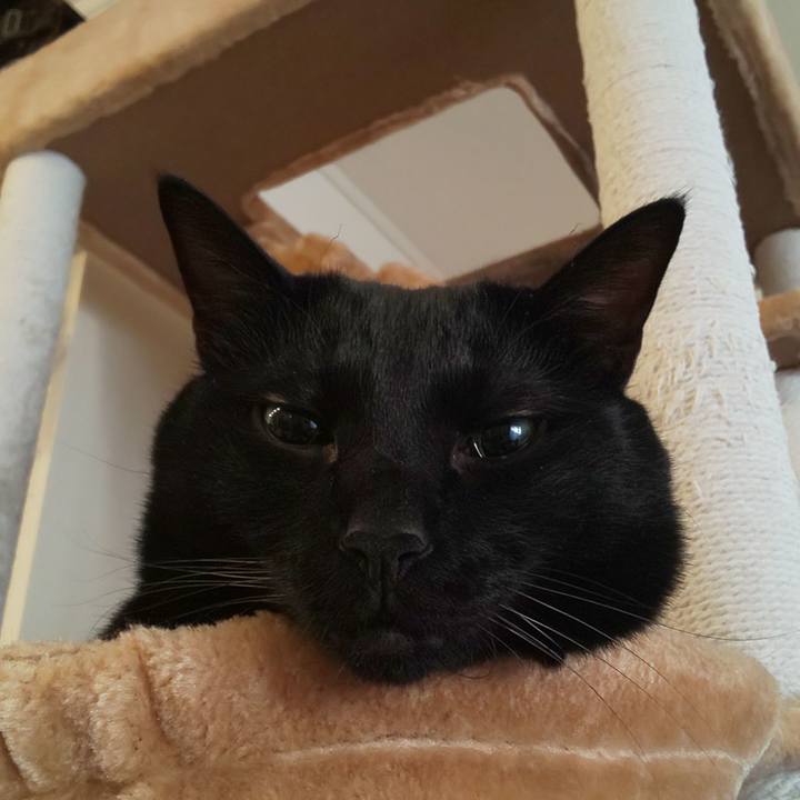 38523cfb 939d 42ca b0ec 92a692b30267 1640734875603