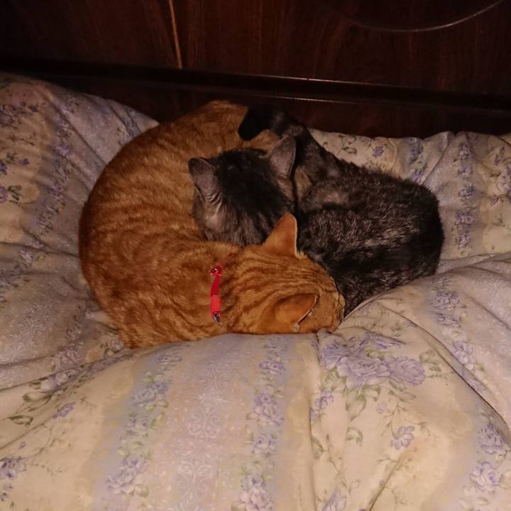 38523f17 d2bb 4515 9caf 6ba41c86de6f 1578767565922