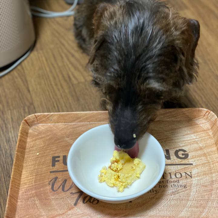 385258ca 4042 456a 9d84 7498c976c5f7 1586698512392