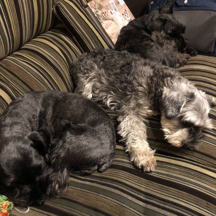 3852941b 90b5 4faa 89be e4f9baf407cb 1520161645487