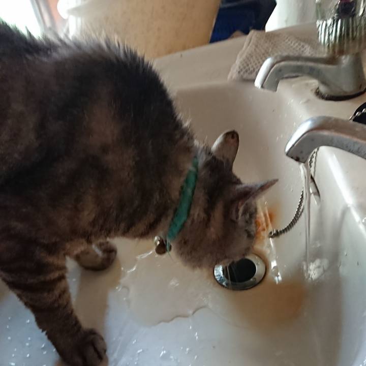 3852a9a8 13a3 4a5e b541 e56bbfac81ae 1565818722340