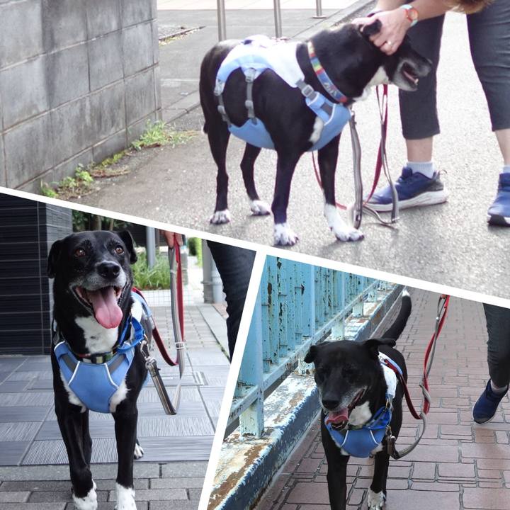 3852b3b8 2078 4bbb 8725 2e21a75d7e98 1722040643377