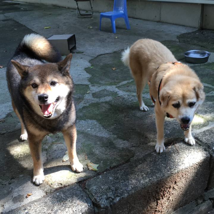 3852d14c 49a3 4d51 b117 c5f6f9fe601b 1565087199666