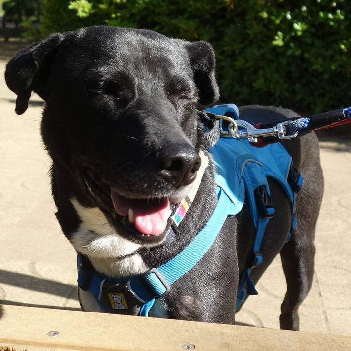 3852e8c2 d8e6 44da 86b8 2e9cc2e1b045 1619394908033