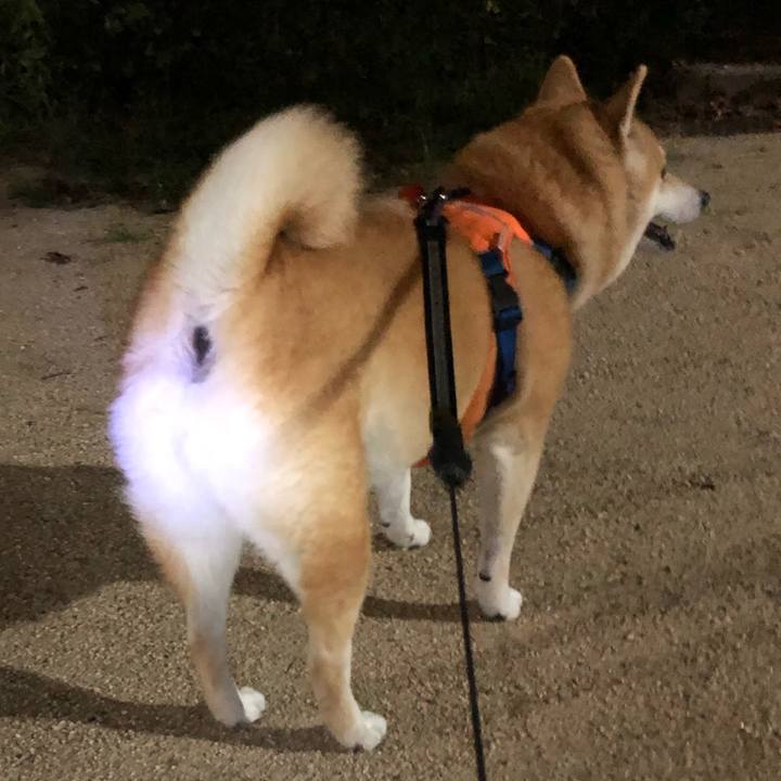 3853014e b3b1 47c6 81e0 bc694735dc46 1568381834804