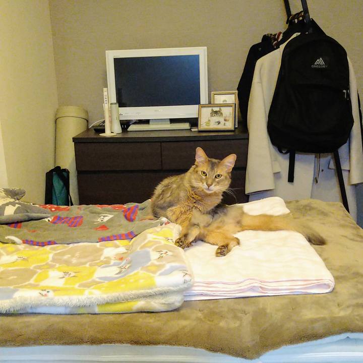 38530a0c 48d7 4909 942a 110bc28c88ad 1612447018505