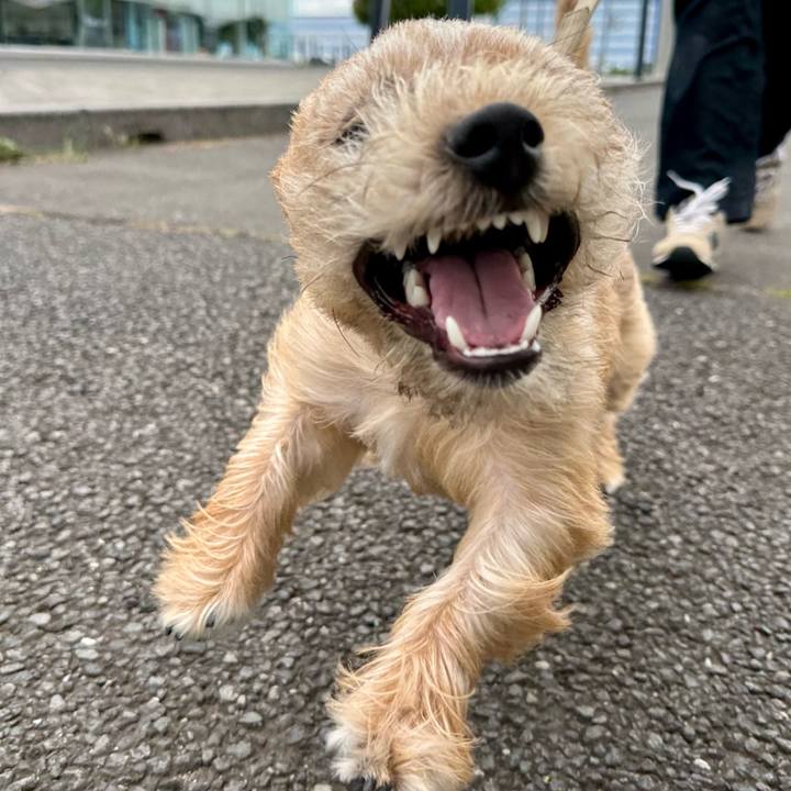 38530b3b 101d 4a23 9973 ca5cec06620e 1714996195533