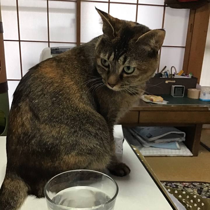 38534b8f d9b5 471f 876f f14e01207aeb 1648940770807