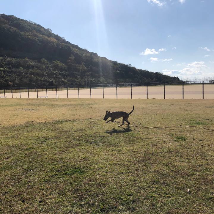 38536b52 4dc8 4aaf acb8 389f2e61d4f5 1574931539550