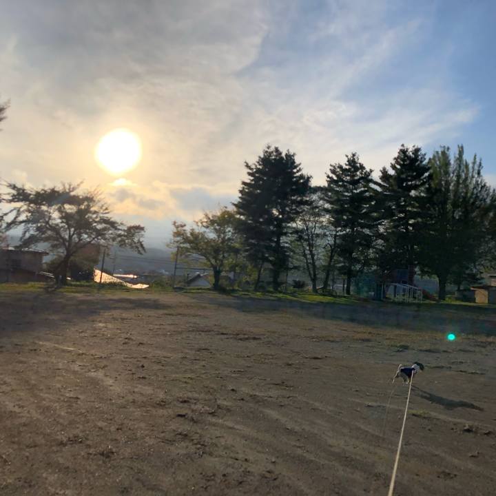 38538cf1 b554 488b b7f2 3e800235b868 1571306093934