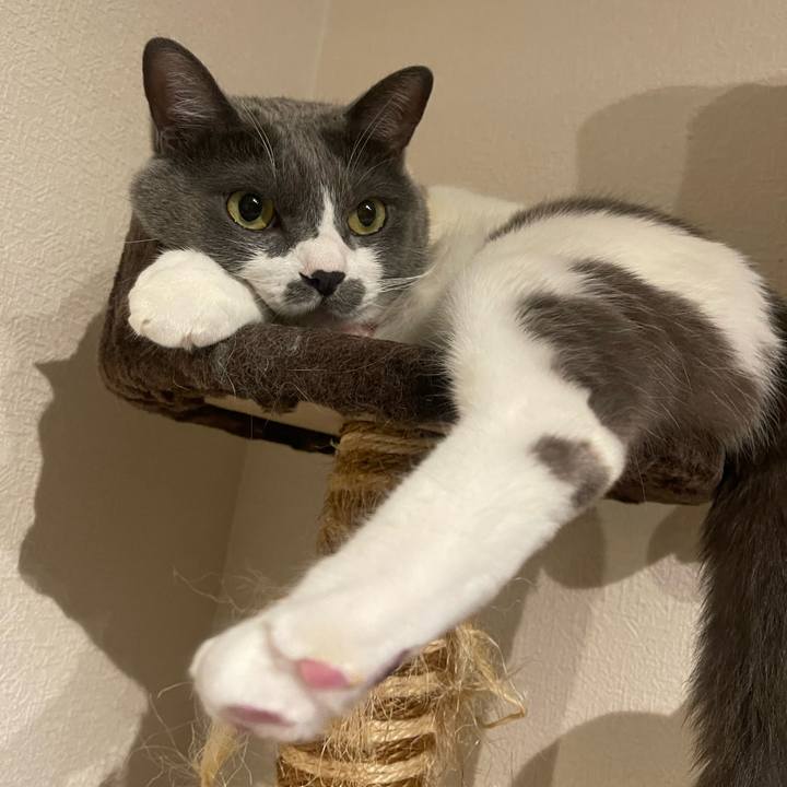 3853aa9e 36dc 4225 9b34 e338eab4b82c 1753463806219