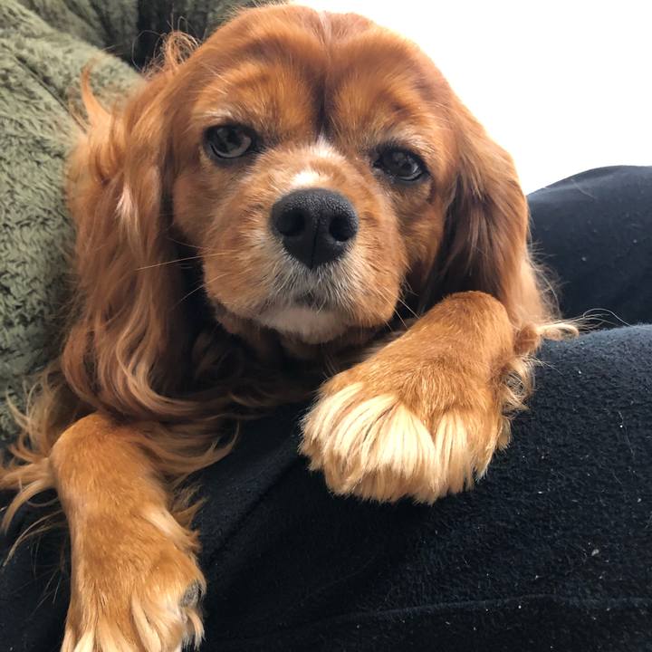 3853b250 eca5 42e5 90a8 a781e86d023a 1646778374168