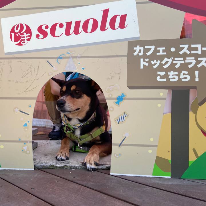 3853ddd3 b86e 4953 8697 f757230c7158 1624272441885