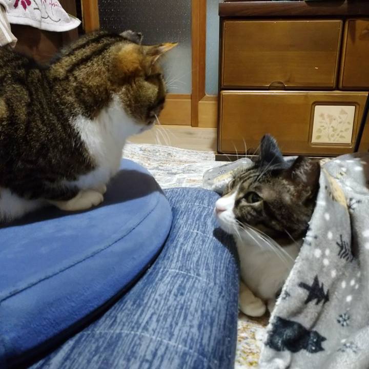 3853e906 5008 427e 9af6 9b0aaf629657 1738404803695