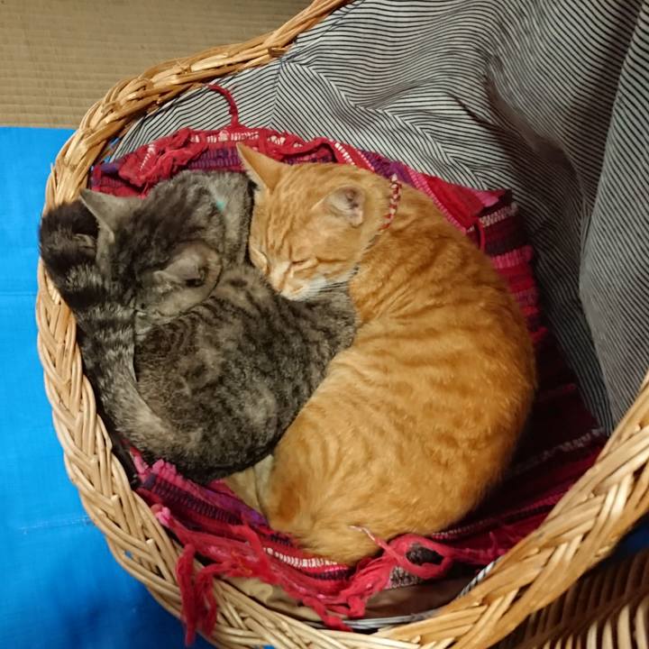 385404f2 8328 4f72 a7f8 ffedd76633db 1560575566190