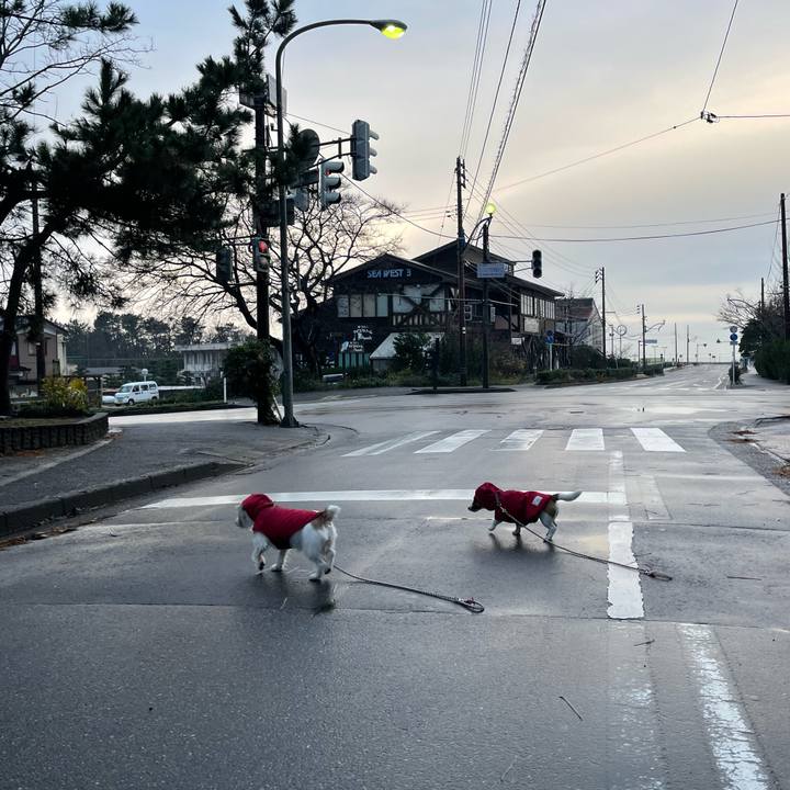 38540bee ad02 48a4 ace5 509dbe4e4337 1638833644274