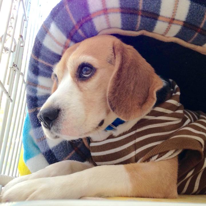 38542c84 ee2e 4250 94a0 20cd0a348318 1742957400989